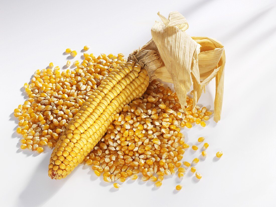 Corn on the cob and corn kernels