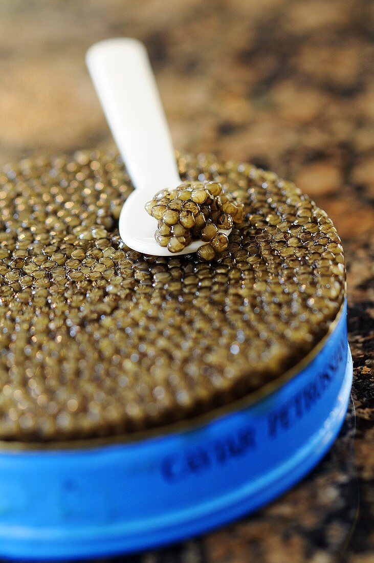Black caviar with caviar spoon