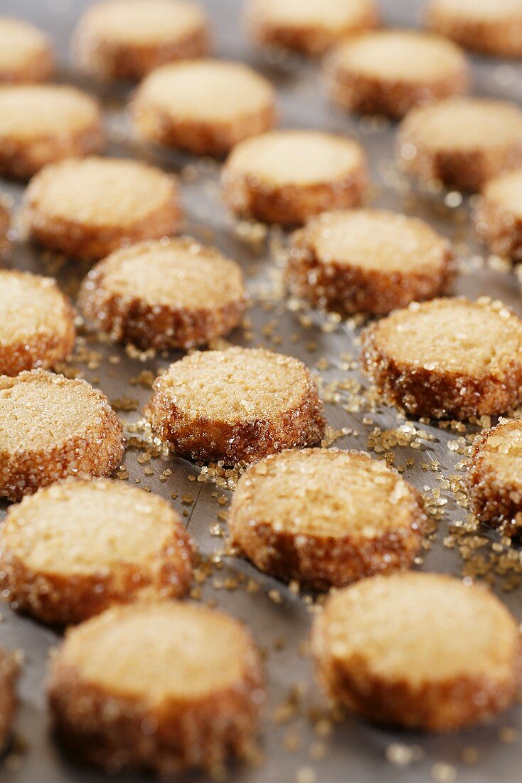 Butter biscuits with cinnamon sugar in rows