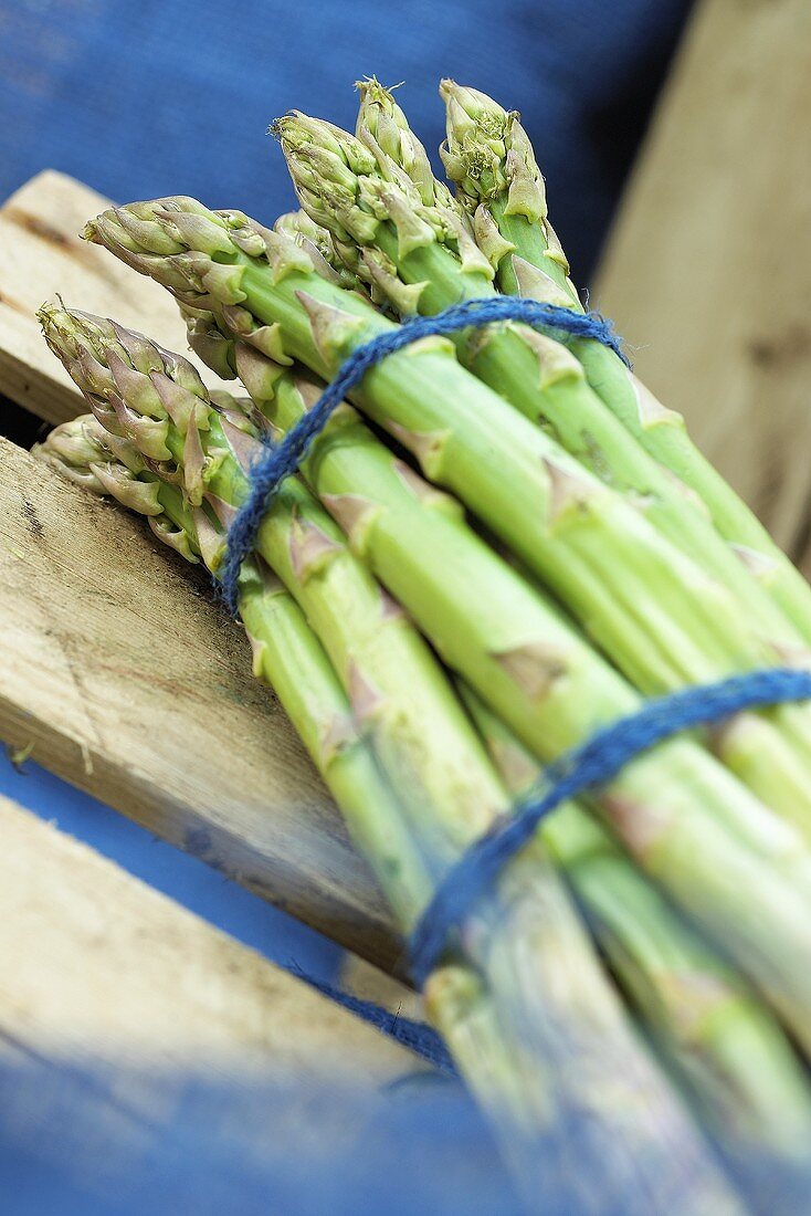 A bundle of green asparagus