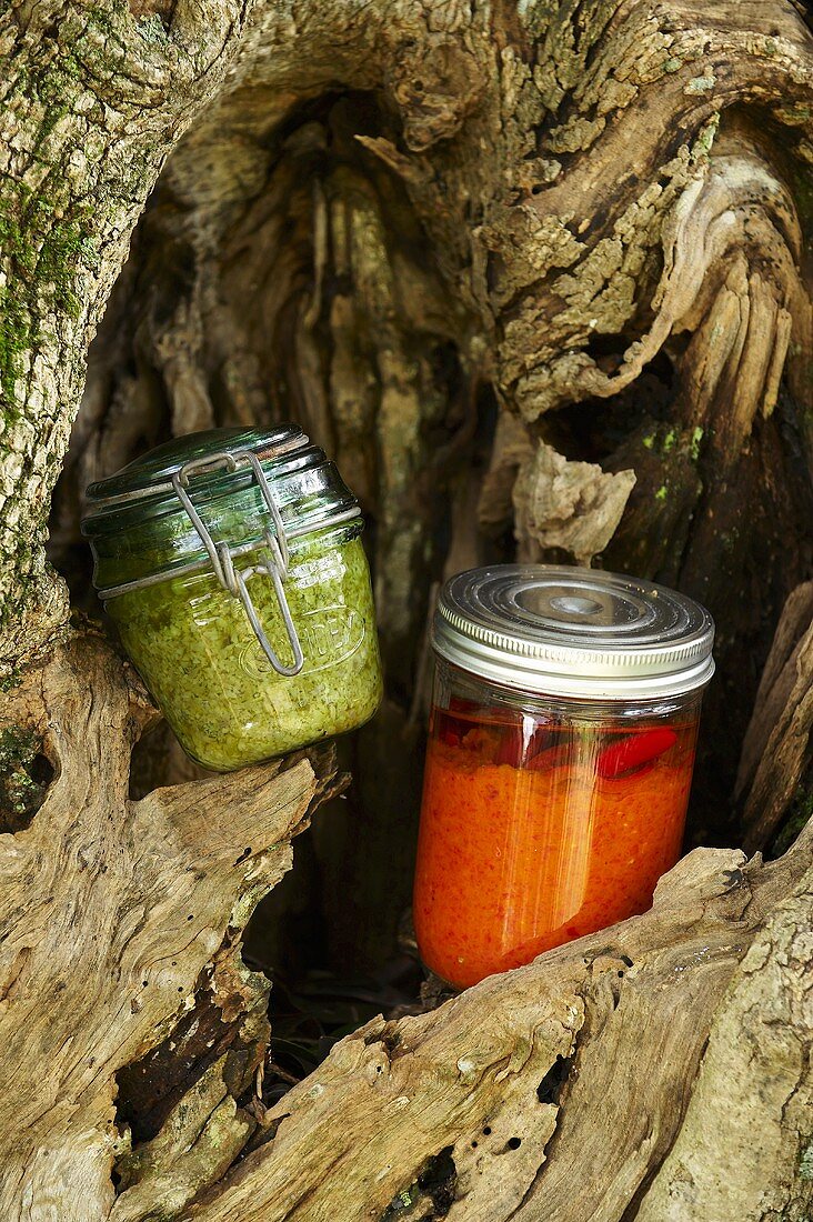 Grünes und rotes Pesto in Einmachgläsern