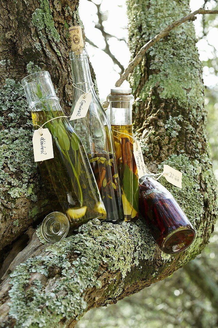 Verschiedene aromatisierte Öle