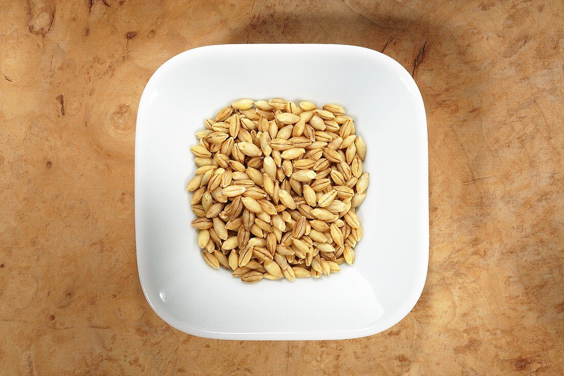 Naked barley in dish from above