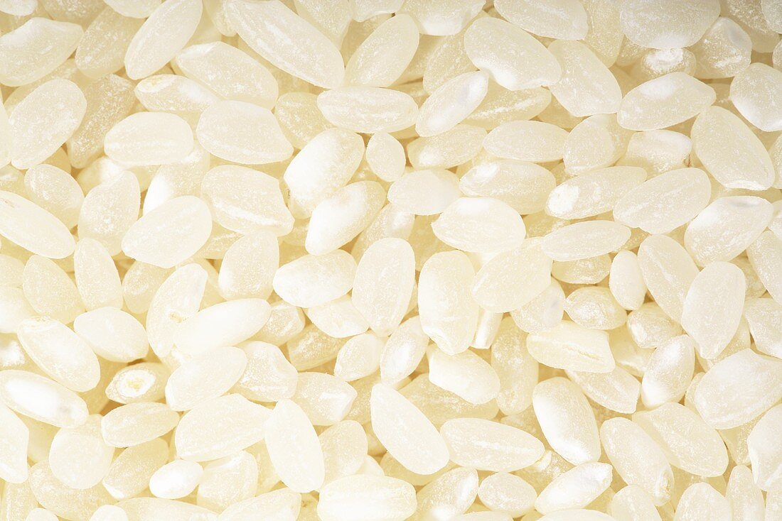 Short-grain rice (full-frame)