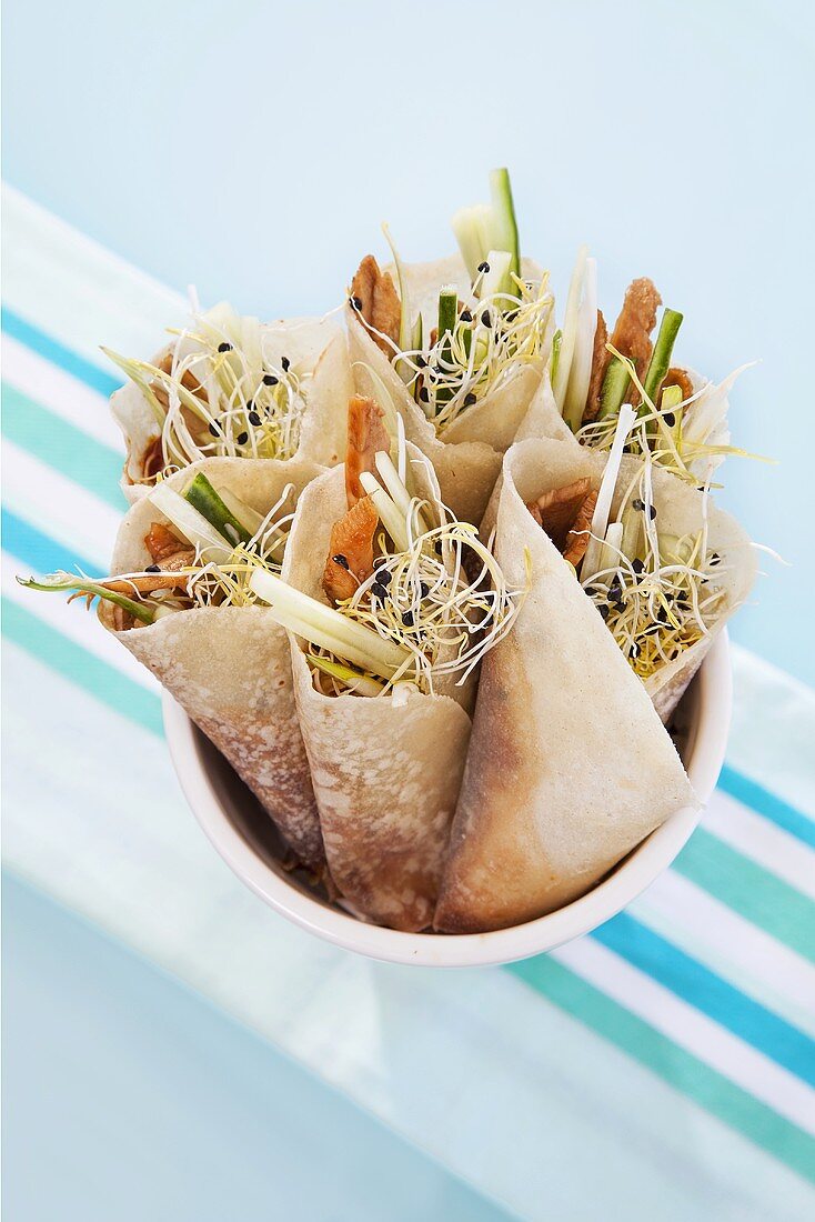 Wraps filled with duck, sprouts and Hoisin sauce