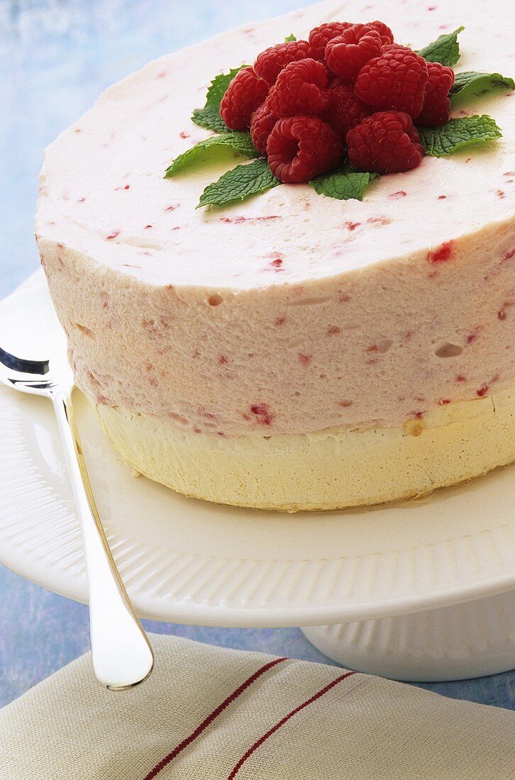 Raspberry mousse cake with fresh raspberries and mint