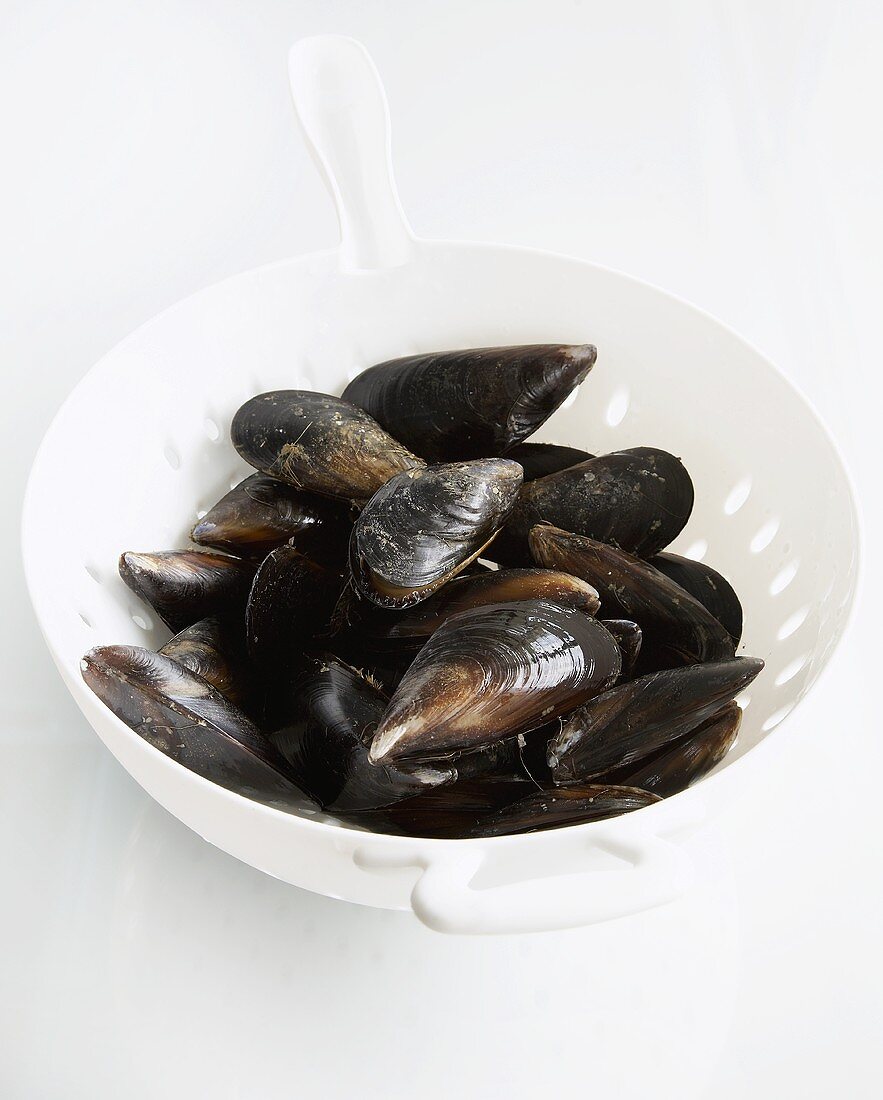 Fresh mussels in a colander