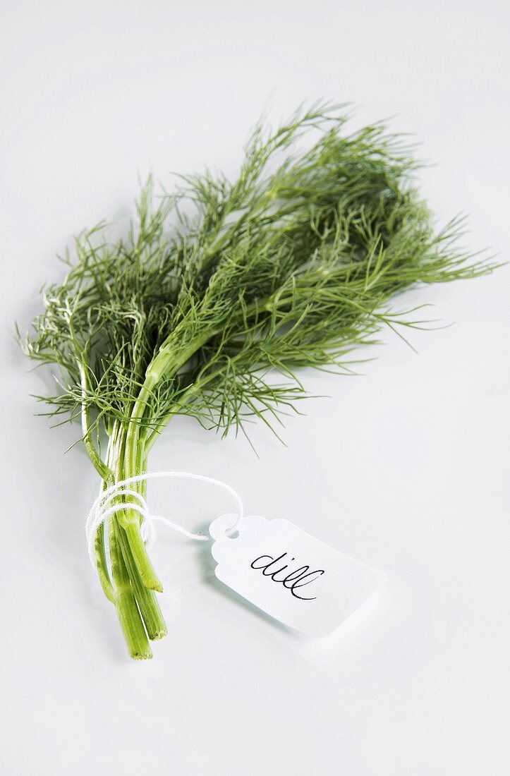 A bunch of dill