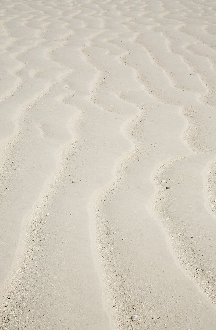 Ripples in sand (full-frame)