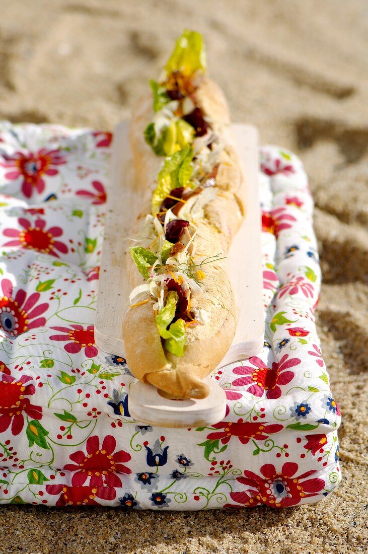 Chicken, beetroot, fennel and orange mayonnaise in baguette