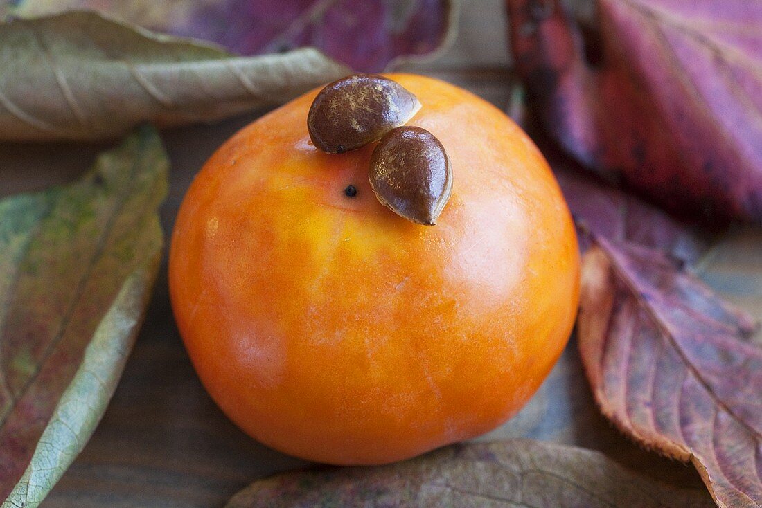 Japanese persimmon with seeds for reproduction