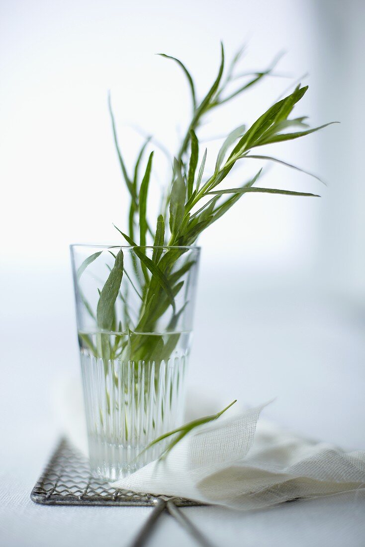 Tarragon in a glass of water