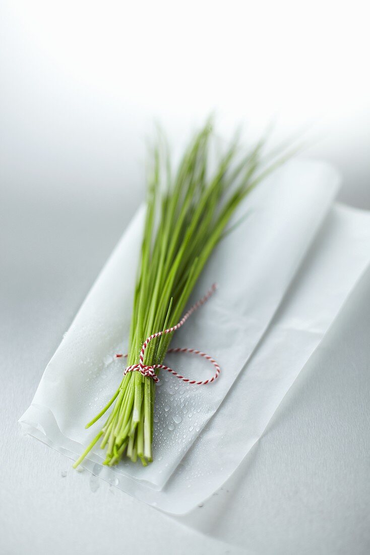 A bunch of chives on paper