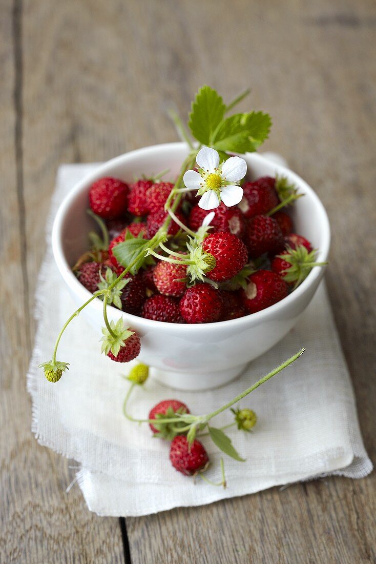 Woodland strawberries in a bowl