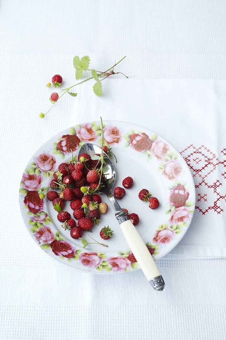 Woodland strawberries on a floral plate