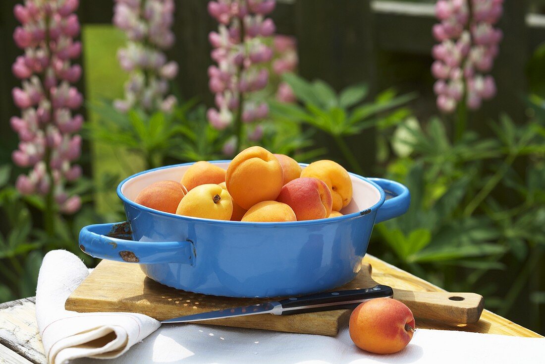 Apricots in enamel pot