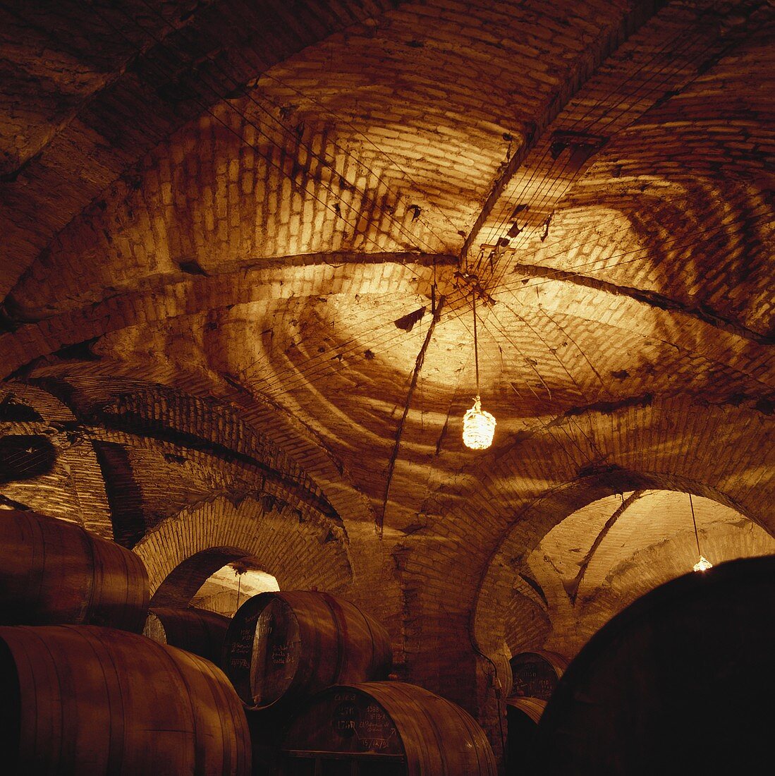 Wine cellar of Santa Carolina Estate, Casablanca, Chile