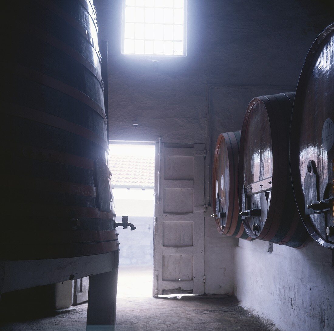 Port wine barrels of Taylor's Port, Vila Nova de Gaia, Portugal