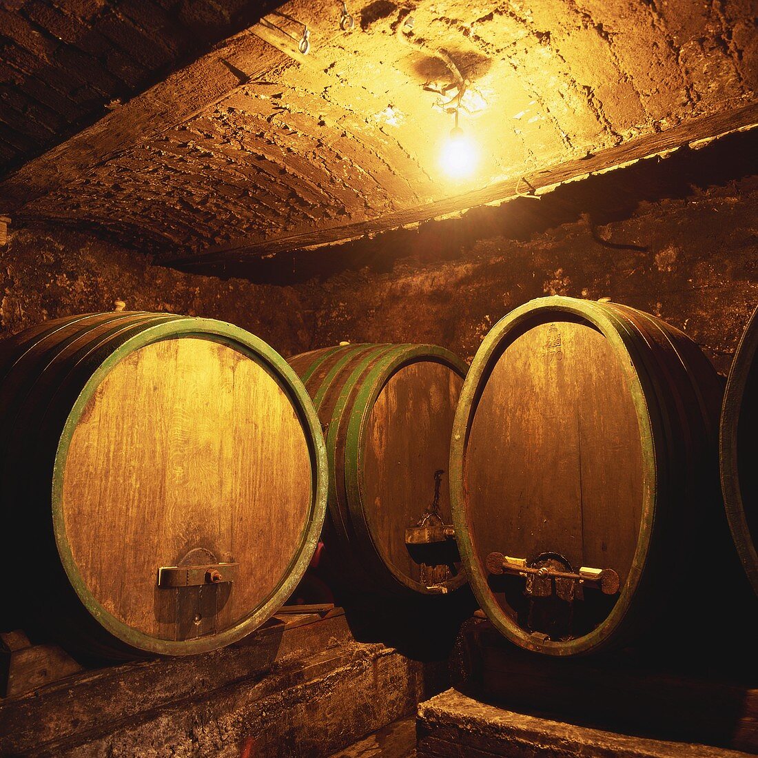 Weinfässer des Weinguts Valdhuber, Svecina, Slowenien