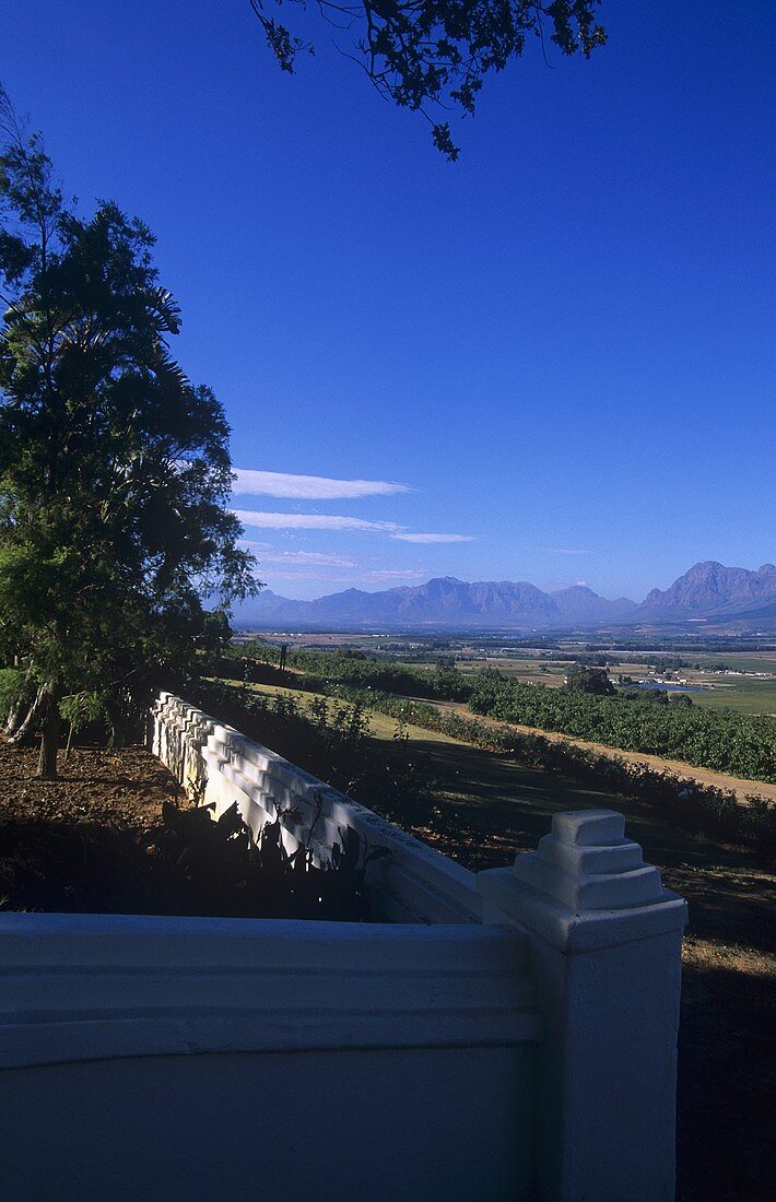 Seidelberg Estate, Paarl, S. Africa