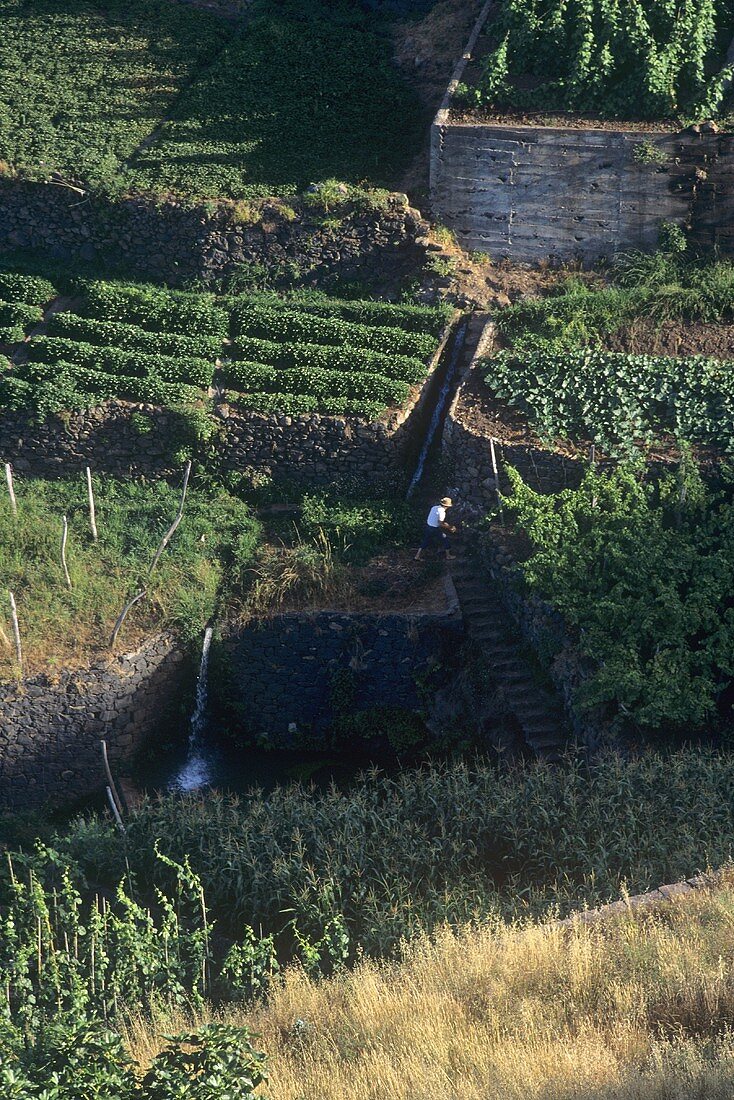 Irrigation system in Madeira, Portugal