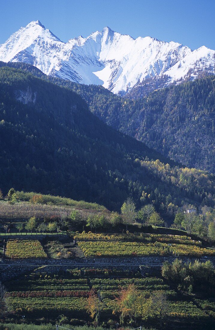 Aymavilles, Aostatal, Italien