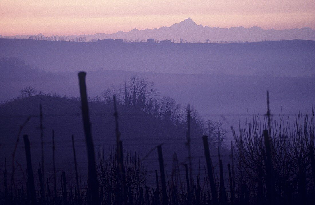 Impression Weinbaugebiet Langhe, Piemonte, Italien
