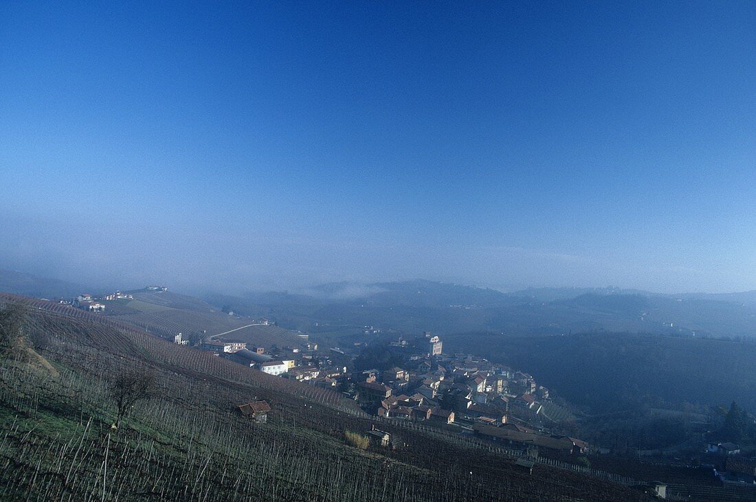 Das Weindorf Barolo aus der Ferne, Piemonte, Italien