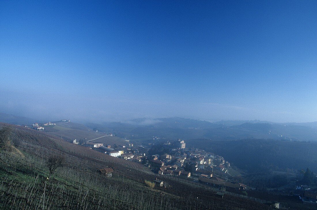 The wine village of Barolo from a distance, Piedmont, Italy