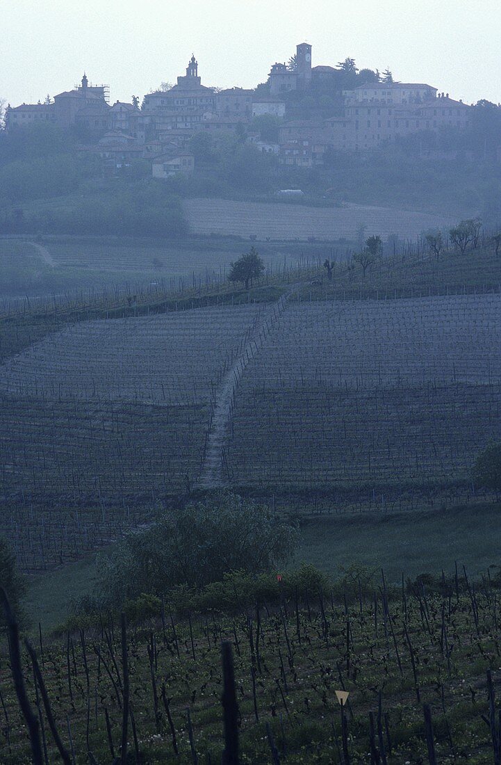 Small wine town of Novello, Barolo, Piedmont, Italy