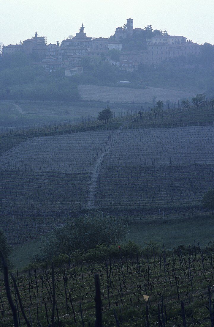 Weinstädtchen Novello, Barolo, Piemonte, Italien