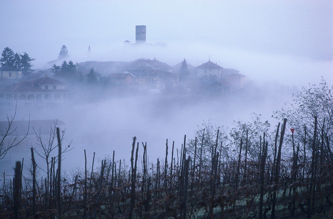 Das Barolo-Dorf Castiglione Falletto Wolkenverhangen, Piemonte