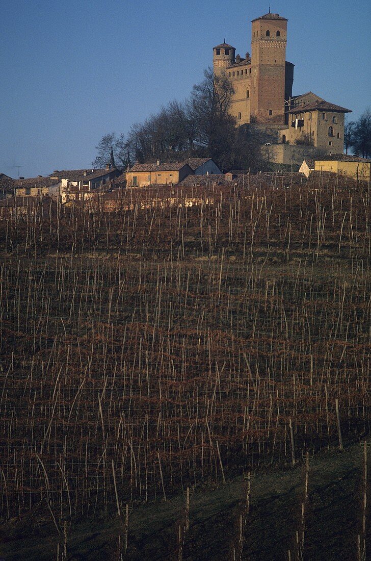 Die Ortschaft Serralunga d'Alba, Piemonte, Italien