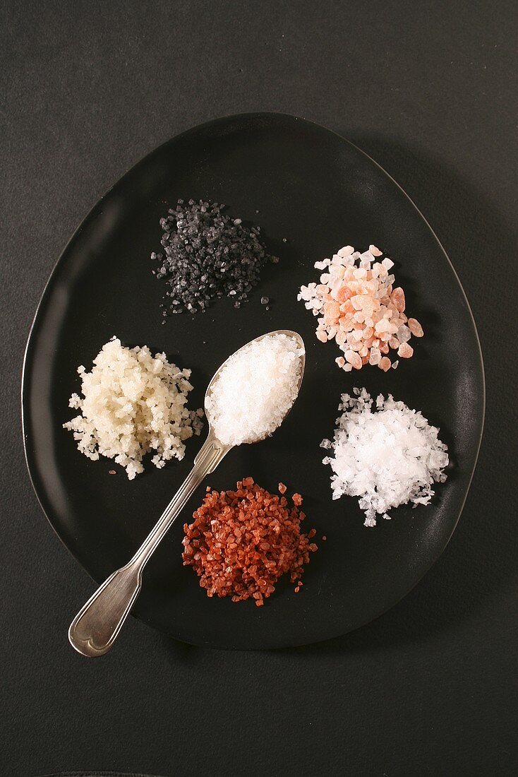 Verschiedene Salzsorten auf Teller (Draufsicht)