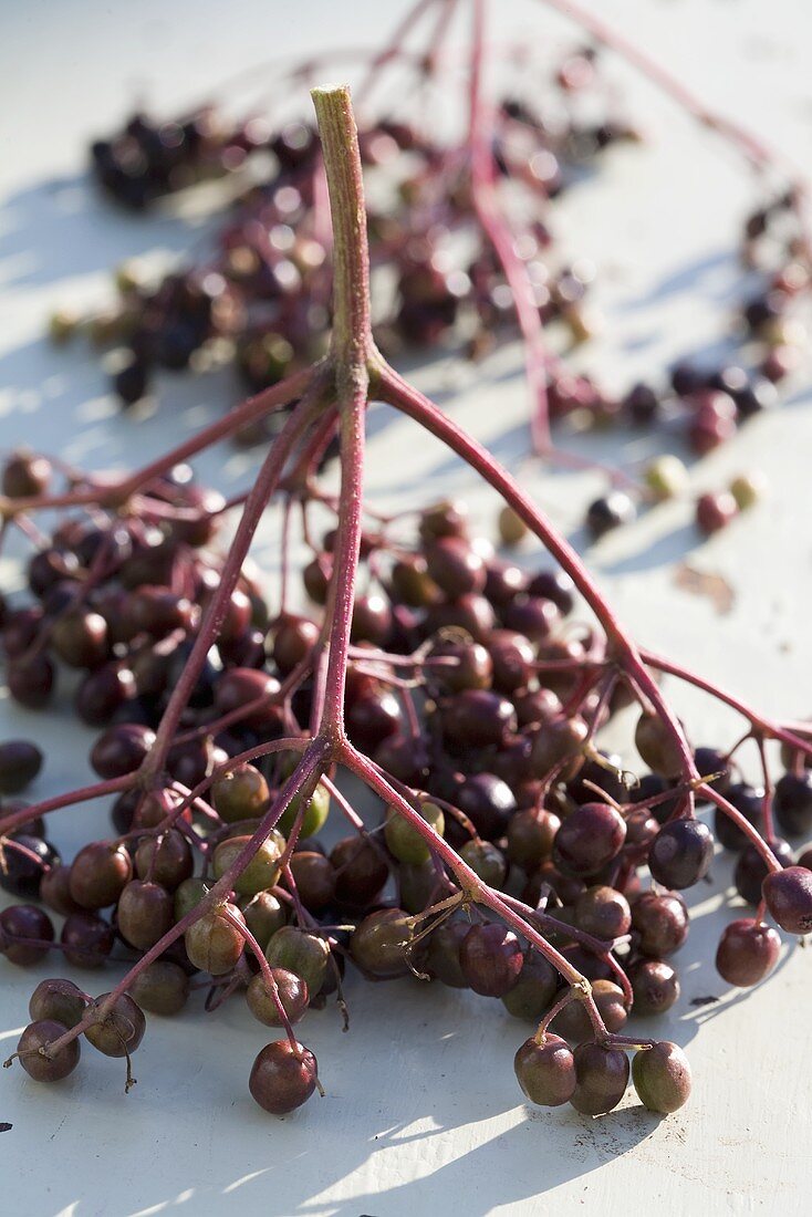 Elderberries