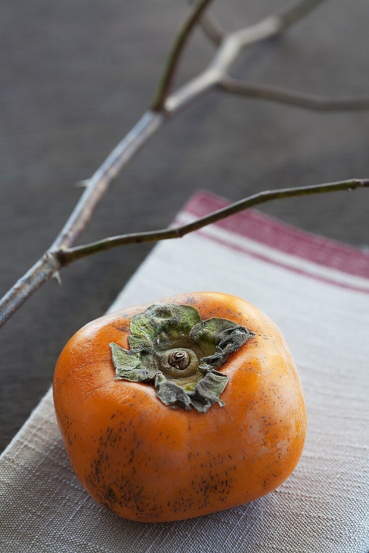 Persimmon on tea towel