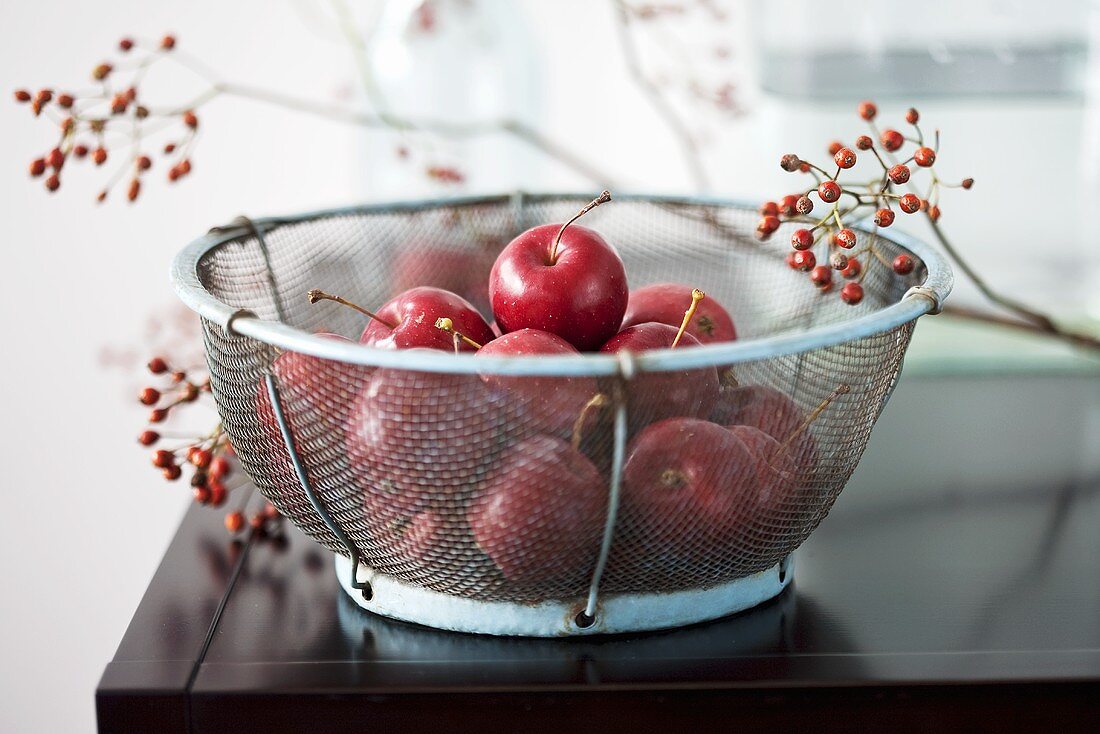 Crab apples in wire basket, twigs