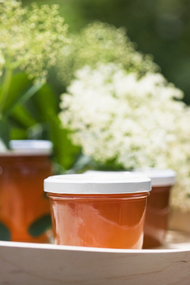 Elderflower and apple jelly in jars on tray