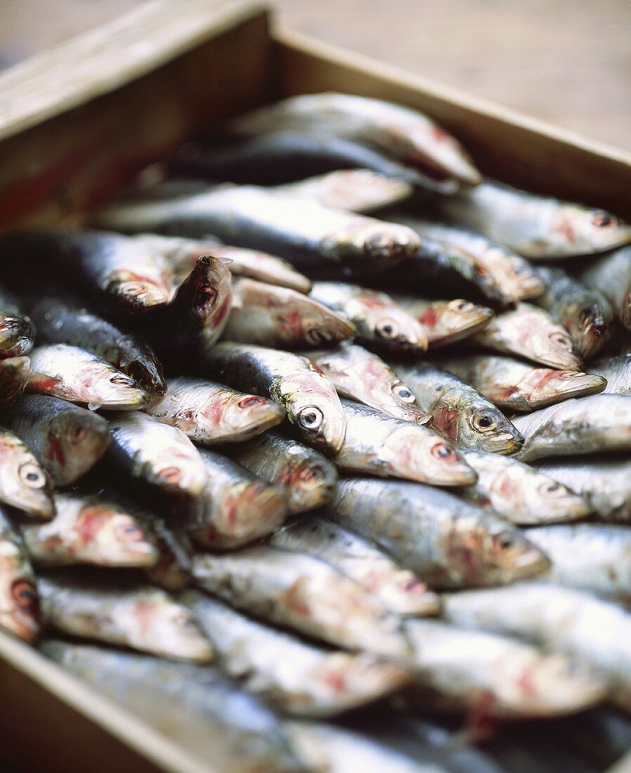 Sardines in a wooden box
