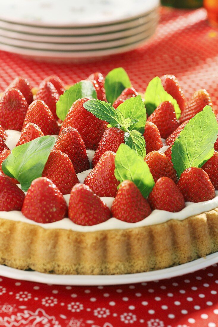 Strawberry flan with fresh mint