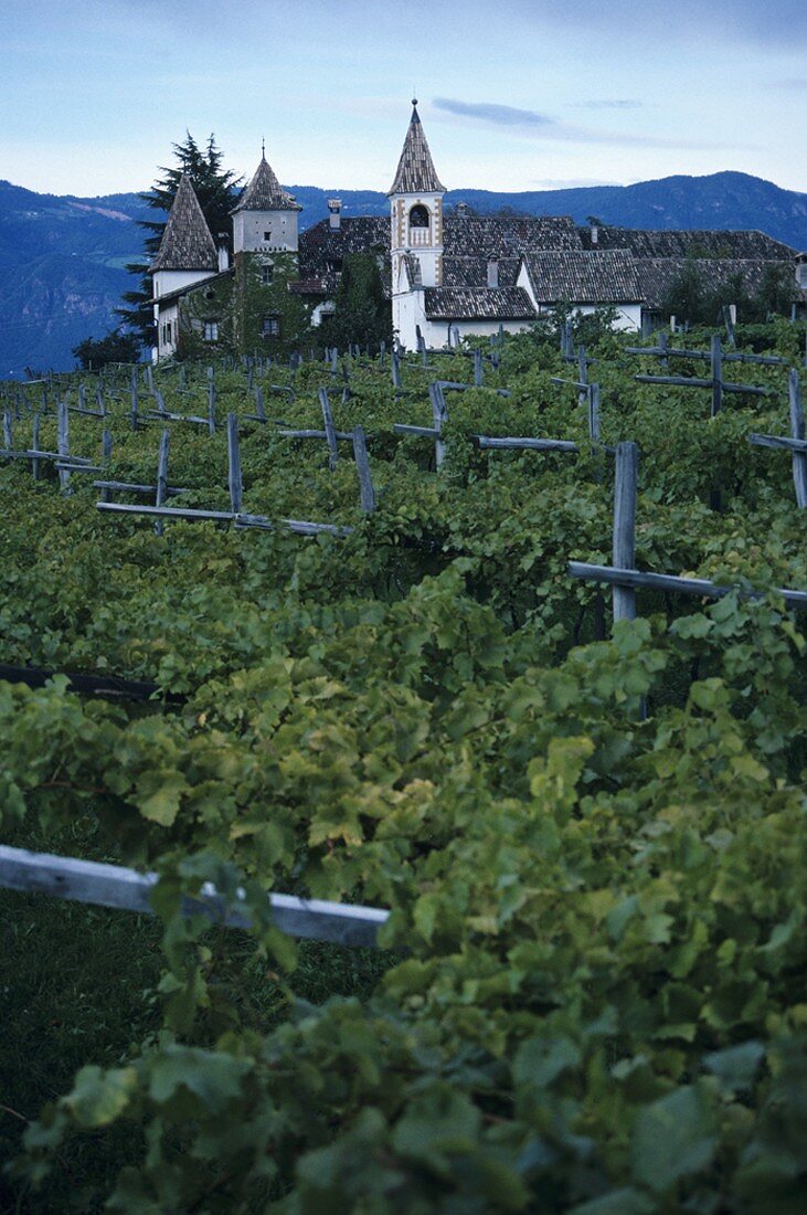 Kreit manor house, between Eppan & Kaltern, S. Tyrol, Italy