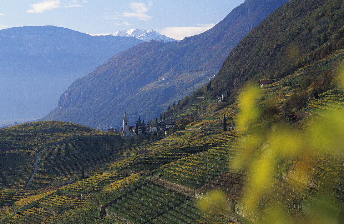 Weingebiet St. Magdalena mit Dorf, Südtirol, Italien