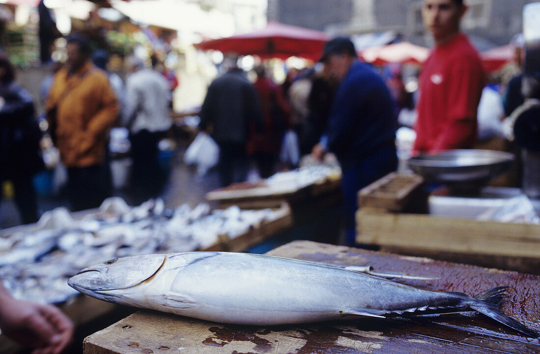 Small tuna at a market in Catania, Sicily, Italy