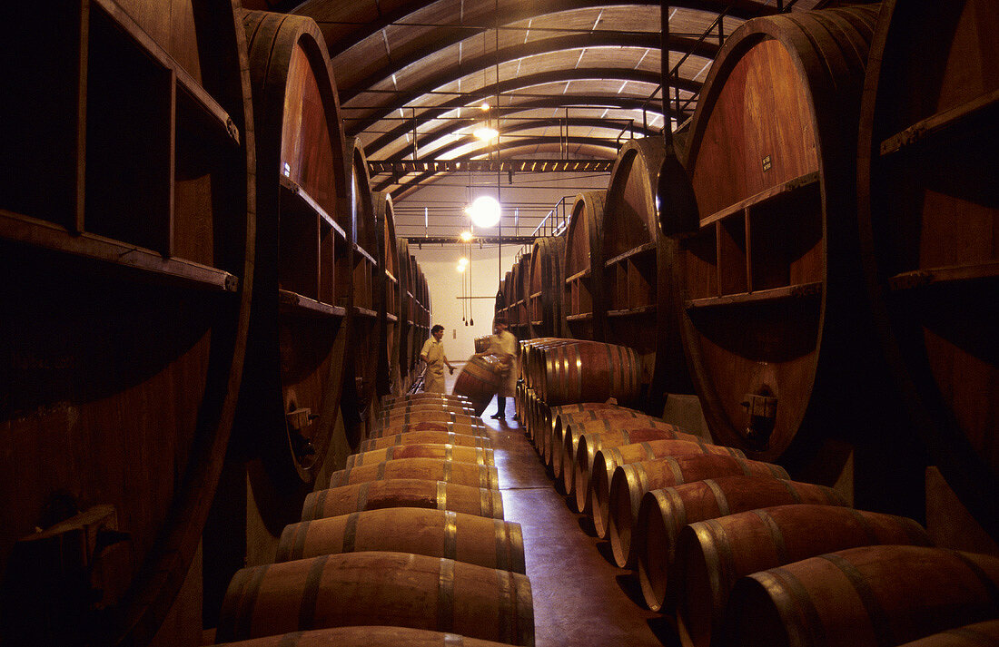 Wooden barrels, Bodega Norton, Lujan de Cuyo, Mendoza, Argentina