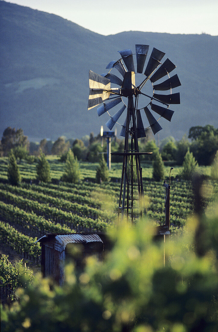 Alter Brunnen mit Windrad zur Bewässerung, Napa Valley, Kalifornien, USA
