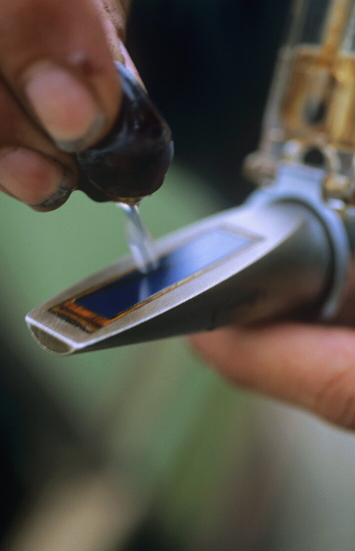 Refractometer for measuring the ripeness of grapes