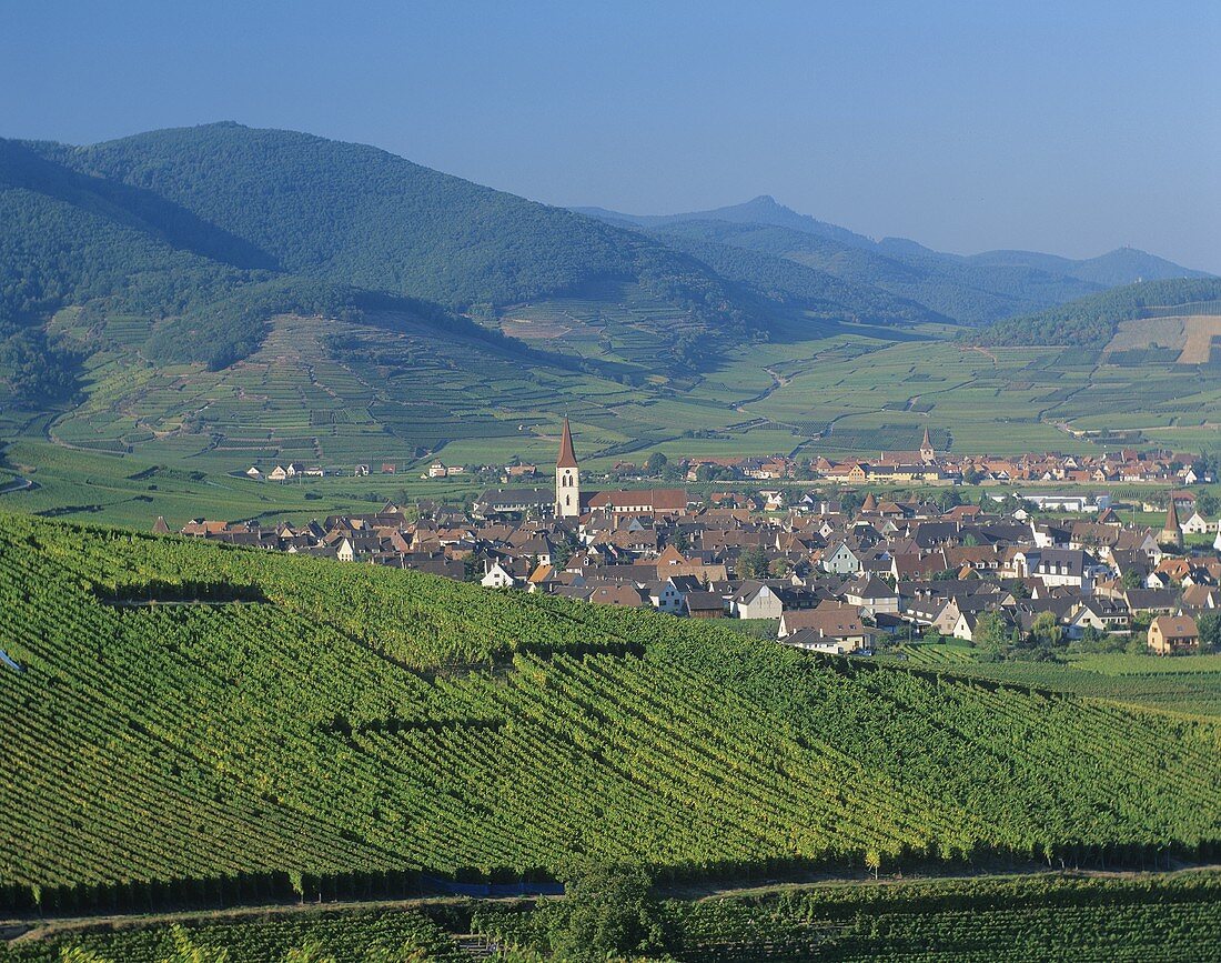 View of Ammerschwihr, Alsace, France