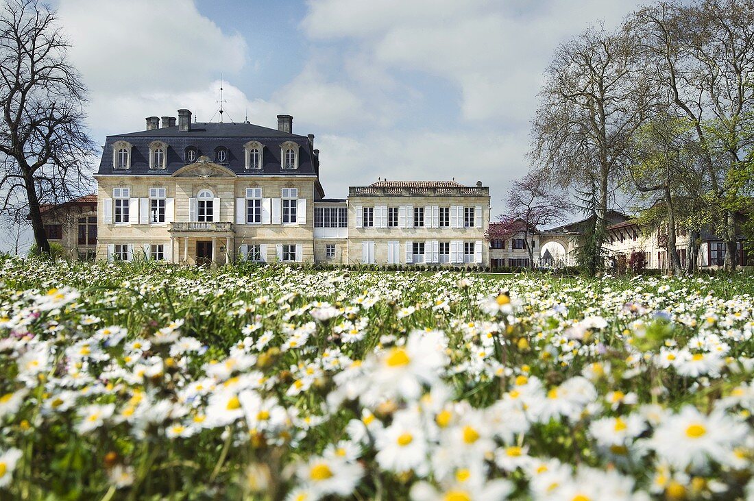 Château Pontet-Canet, 5e Cru, Pauillac, France