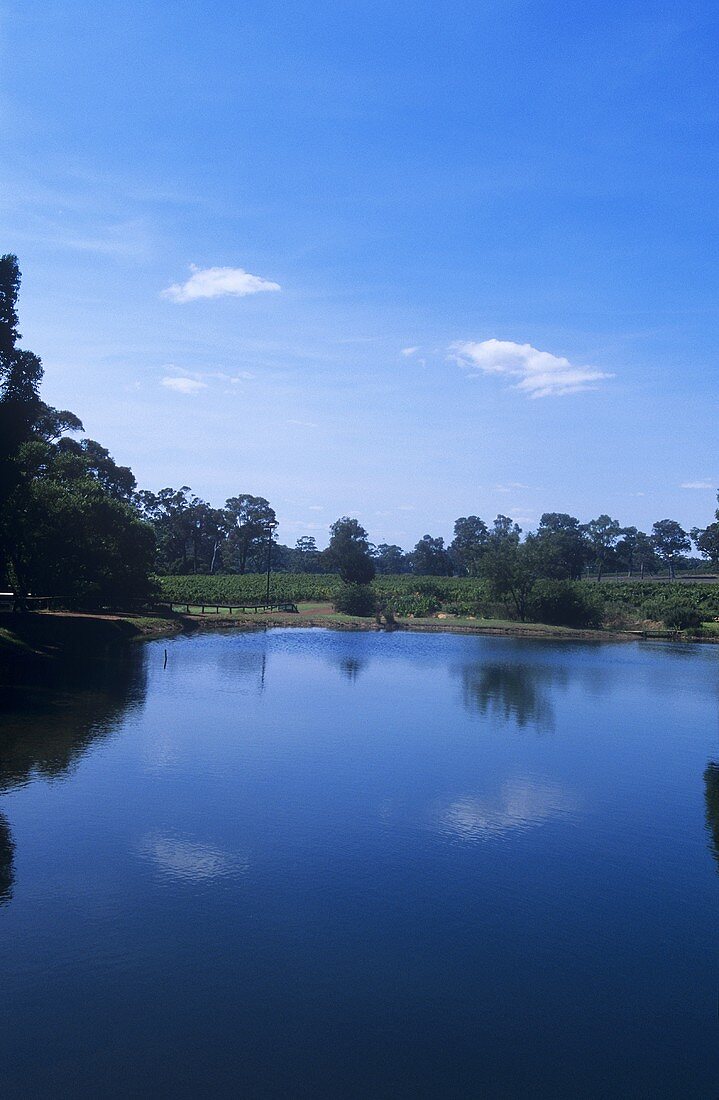 Leeuwin Estate, Margaret River, Westaustralien
