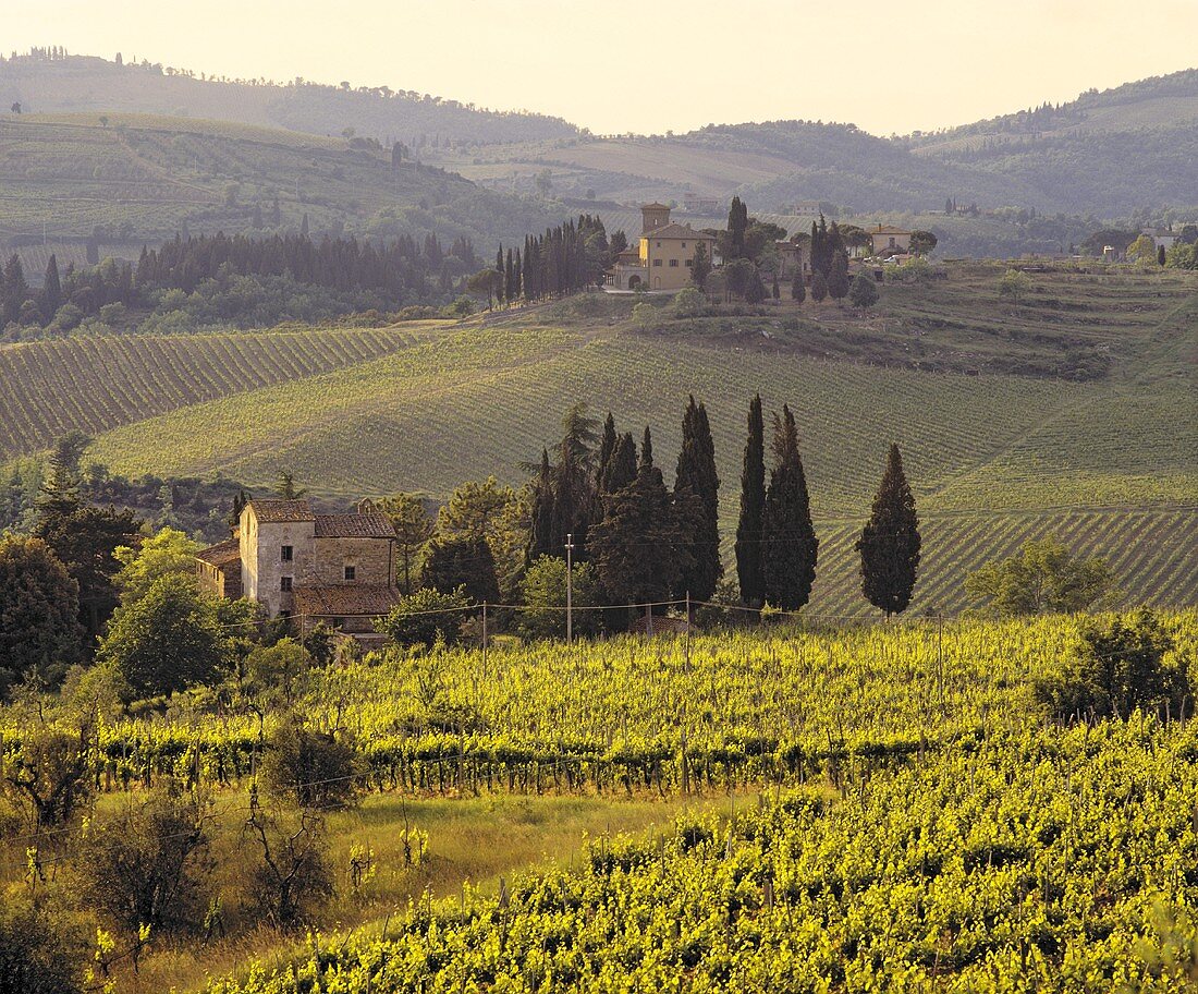 Castello dei Rampolla, Panzano in Chianti, Toskana, Italien